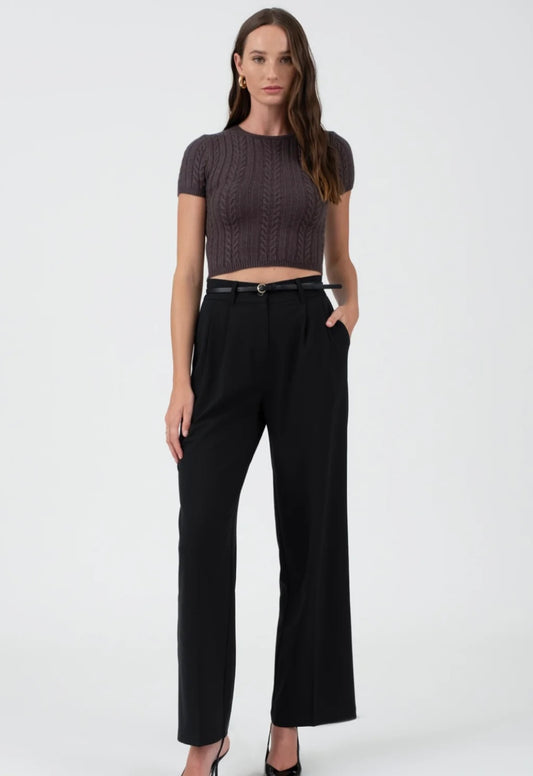 High Waist Pleated Wide Leg Pants